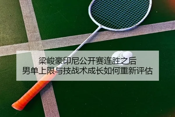 liang-jun-hao-yin-ni-gong-kai-sai-lian-sheng-zhi-hou-nan-dan-shang-xian-yu-ji-zhan-shu-cheng-zhang-ru-he-chong-xin-ping-1-225.jpg
